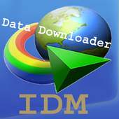 IDM - Internet Download Manager 15.0.19