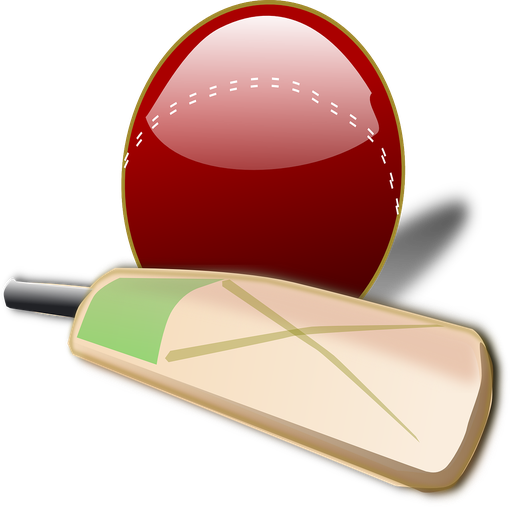 Hit Cricket - World Fastest Cricket Match Game icon