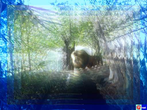 Picmak Photo screenshot 4