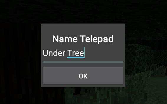 Teleportation Mod Installer screenshot 4