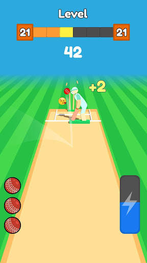 Cricket Bowling screenshot 1