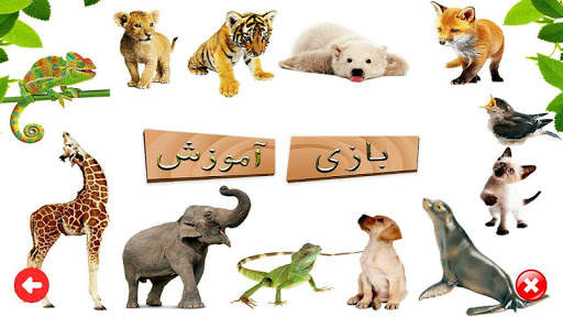 آموزش انگلیسی‌ - مقدماتی 1 تصوير الشاشة