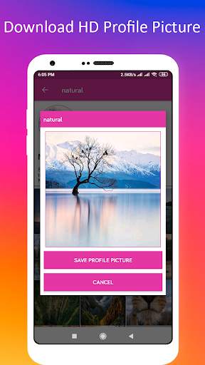 Profile Picture Downloader for Instagram screenshot 13