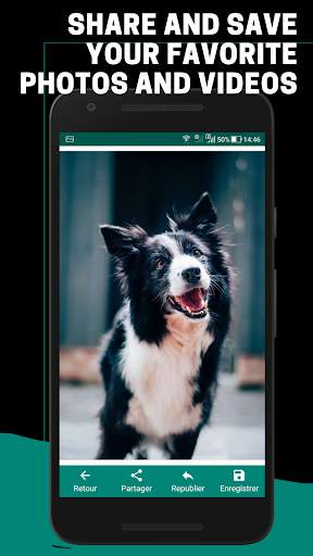 Statut downloader - Click to Chat - Télécharger screenshot 6
