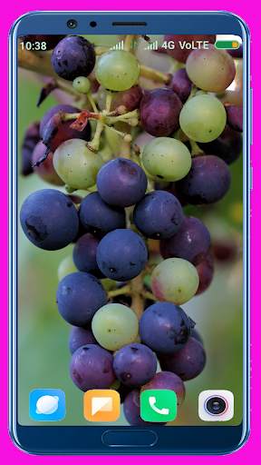 Grapes HD wallpaper screenshot 2