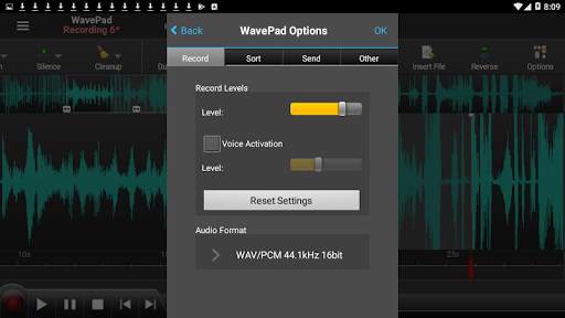 WavePad Audio Editor - Master's Edition screenshot 7