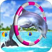Dolphin Show Fun Game logo