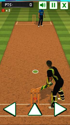 Cricket Batting Challenge screenshot 1