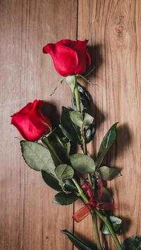 Flower Wallpapers screenshot 13