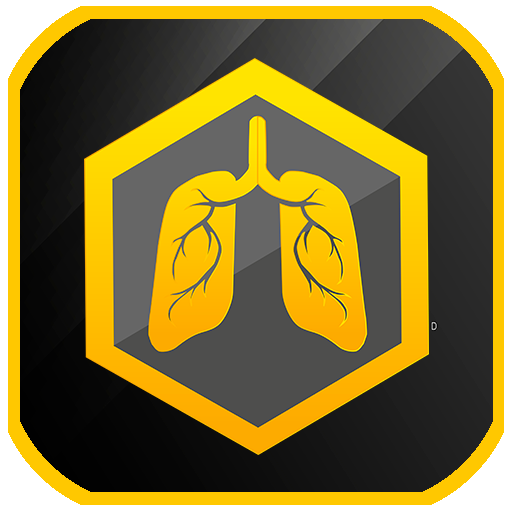 Mr. Stamina - Endurance &amp; Cardio Training program icon