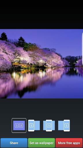 Sakura Cherry Blossoms HD Wall screenshot 6