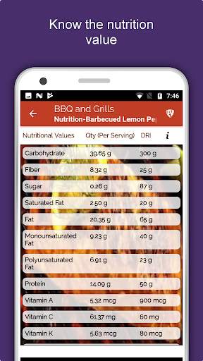 Barbecue Grill Recipes Offline screenshot 7