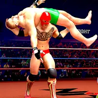 Wrestling 3d Ring fighting