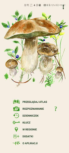 Na grzyby screenshot 1