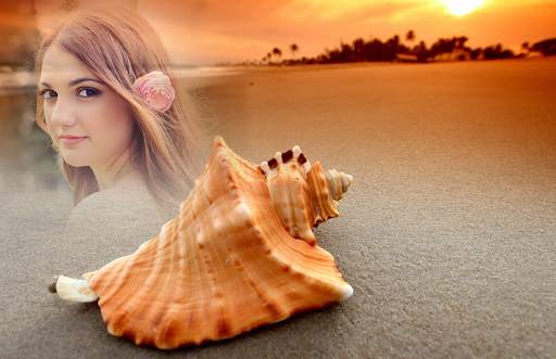 Seashell Photo Frames screenshot 4