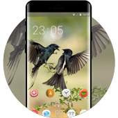 Beautiful birds theme for Lava Z60 wallpaper HD 1.0.3