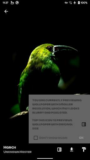 Black Wallpaper No Ads screenshot 7