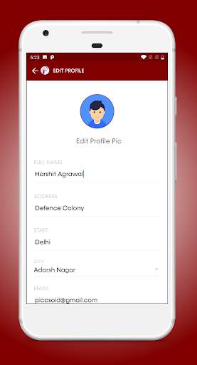 PiCaSoid screenshot 4