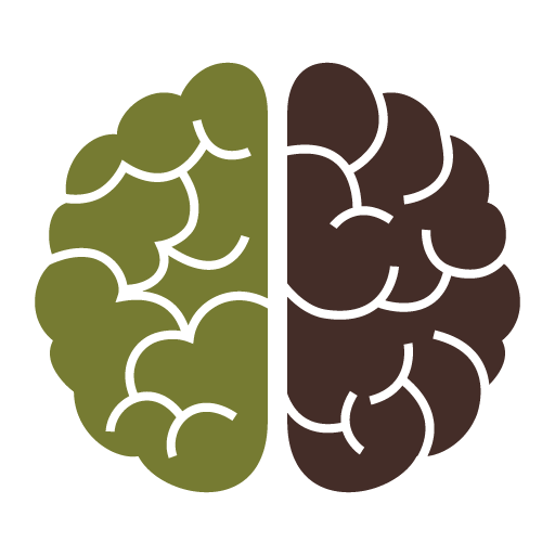 Mini Quiz icon