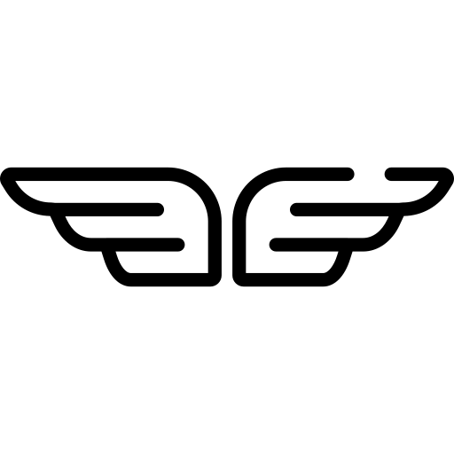 Scary Flying Bird icon