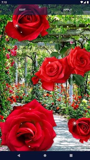 3D Red Rose Live Wallpaper 7 تصوير الشاشة
