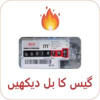 Gas Bill Checker for (SNGPL, SSGC) 2020
