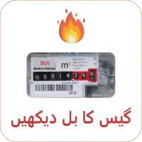 Gas Bill Checker for (SNGPL, SSGC) 2020 icon