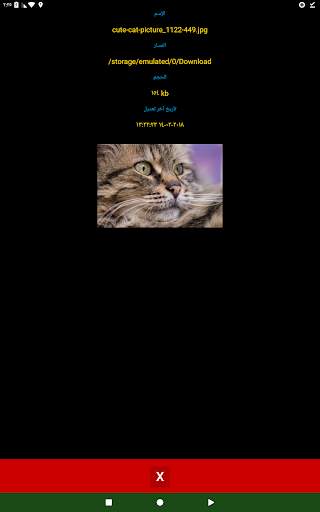 Find File 13 تصوير الشاشة