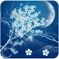 Sakura Live Wallpaper icon
