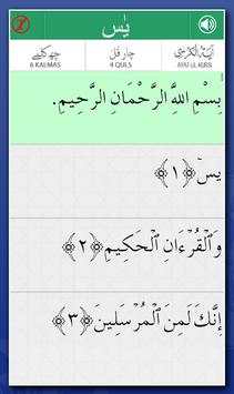 Surah YaSin Audio Urdu screenshot 3