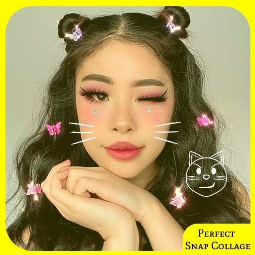 Perfect Snap Camera: Beauty Selfie Plus Camera 1.0
