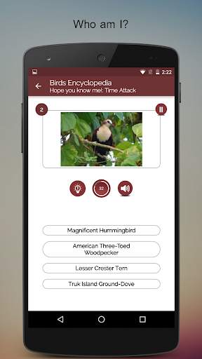 Birds Encyclopedia Offline App screenshot 6