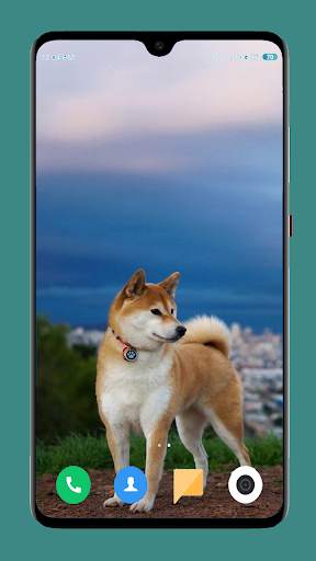 Dog Wallpaper 4K screenshot 5