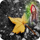 Rain Photo Frame