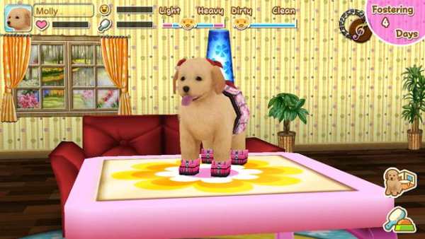 My Dog My Room 2 screenshot 16