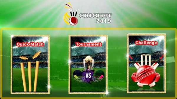Indian Cricket: T20 Premier League screenshot 2