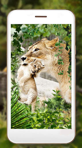 Lion King Jungle screenshot 4