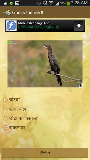 Guess the Bird - Photo Quiz screenshot 4