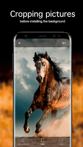 Horse Wallpapers 4K screenshot 4