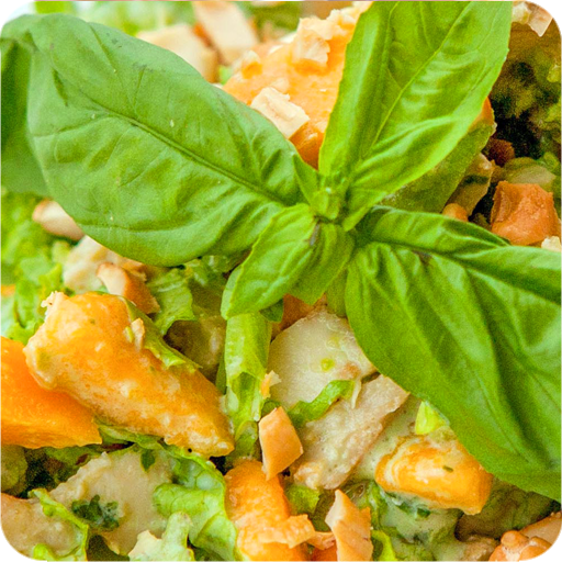 Salad recipes icon