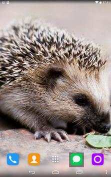 Hedgehog Live Wallpaper screenshot 4