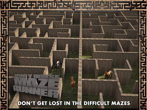 Pony Horse Maze Run Simulator screenshot 14
