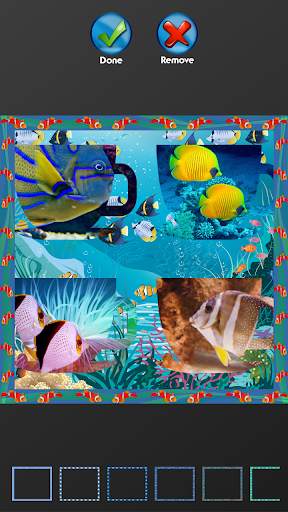 Fish Photo Collage Maker screenshot 5