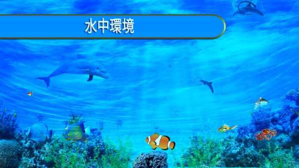 イルカ 楽しい ゲーム screenshot 5