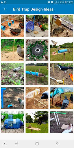 Bird Trap Design Ideas screenshot 3