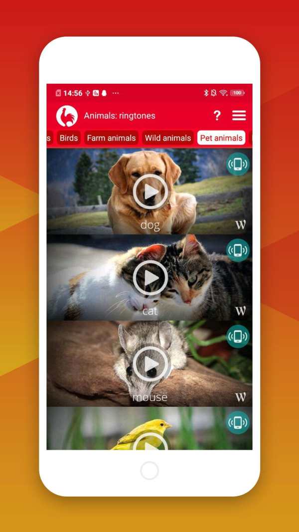 Best Animals Ringtones screenshot 2