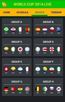WM 2014 Info-Fan-App screenshot 3