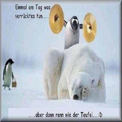 Lustige Bilder Kostenlos für Whatsapp screenshot 5