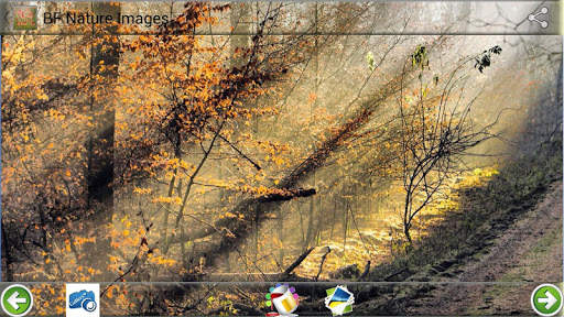 BF Nature Images screenshot 2