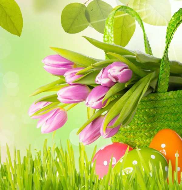 Beautiful Flowers Wallpaper screenshot 2